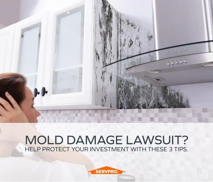 Mold on kitchen wall with text: Mold Damage Lawsuit? Help protect your investment with these 3 tips. 