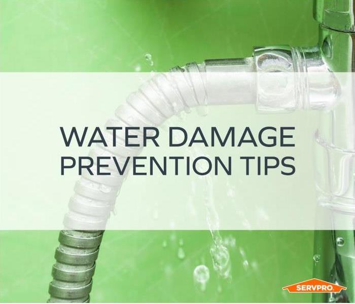 Water spraying from hose with green background. Text: Water Damage Prevention Tips