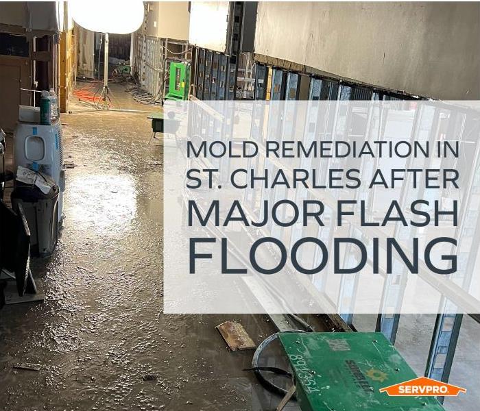 Photo of water damage, drywall removed. Text: Mold Remediation in St. Charles After Major Flash Flooding